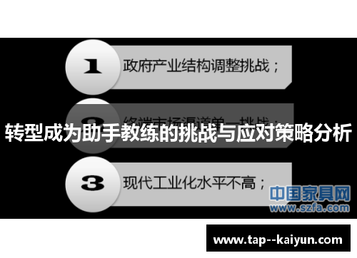 转型成为助手教练的挑战与应对策略分析