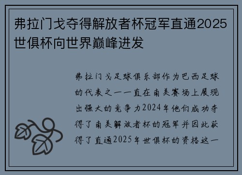 弗拉门戈夺得解放者杯冠军直通2025世俱杯向世界巅峰进发